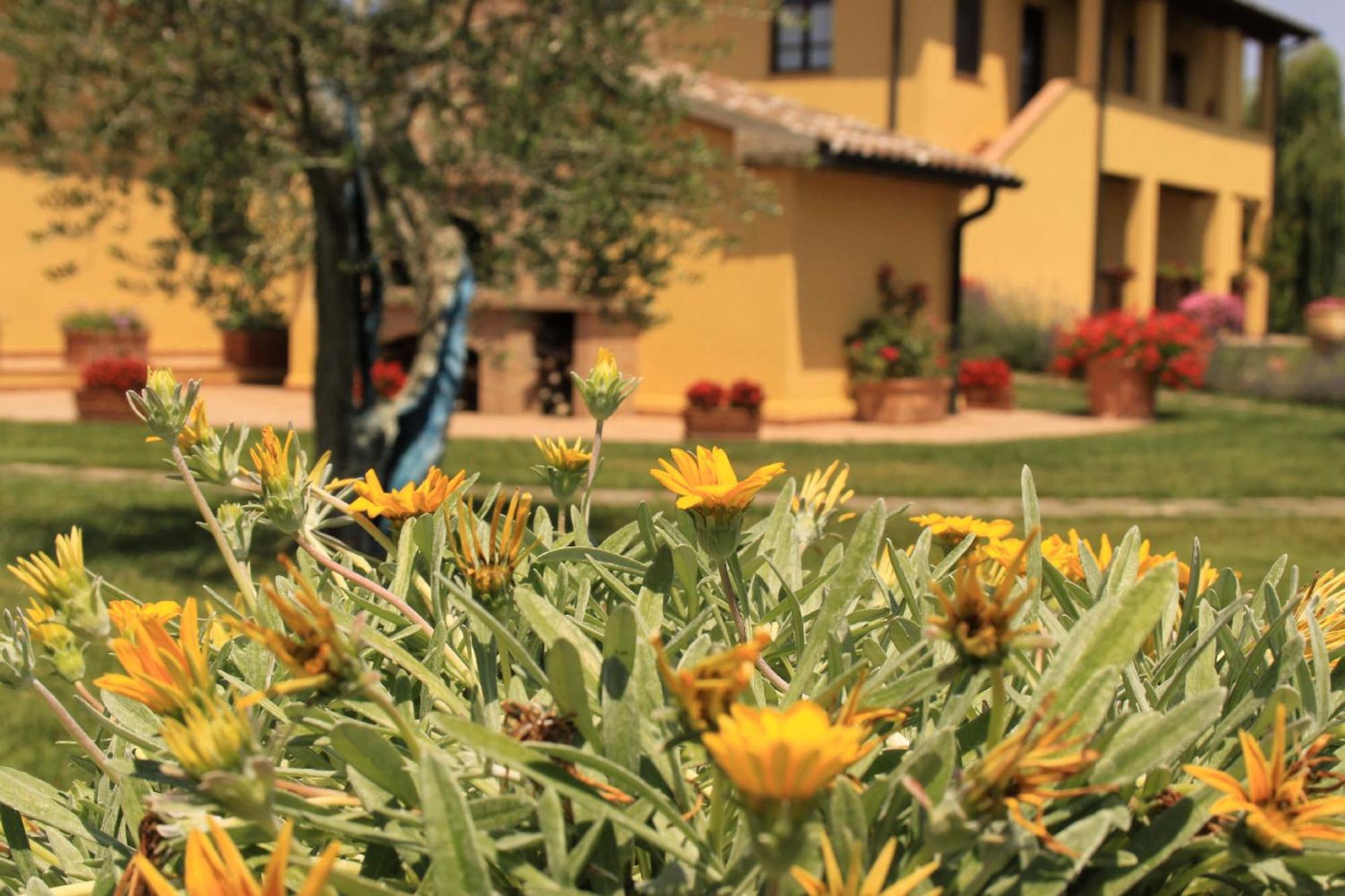 Podere Tre Cipressi Aparthotel Campiglia Marittima Exteriör bild
